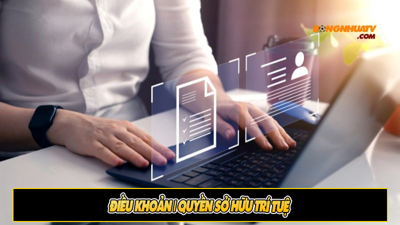 Điều khoản | Quyền sở hữu trí tuệ